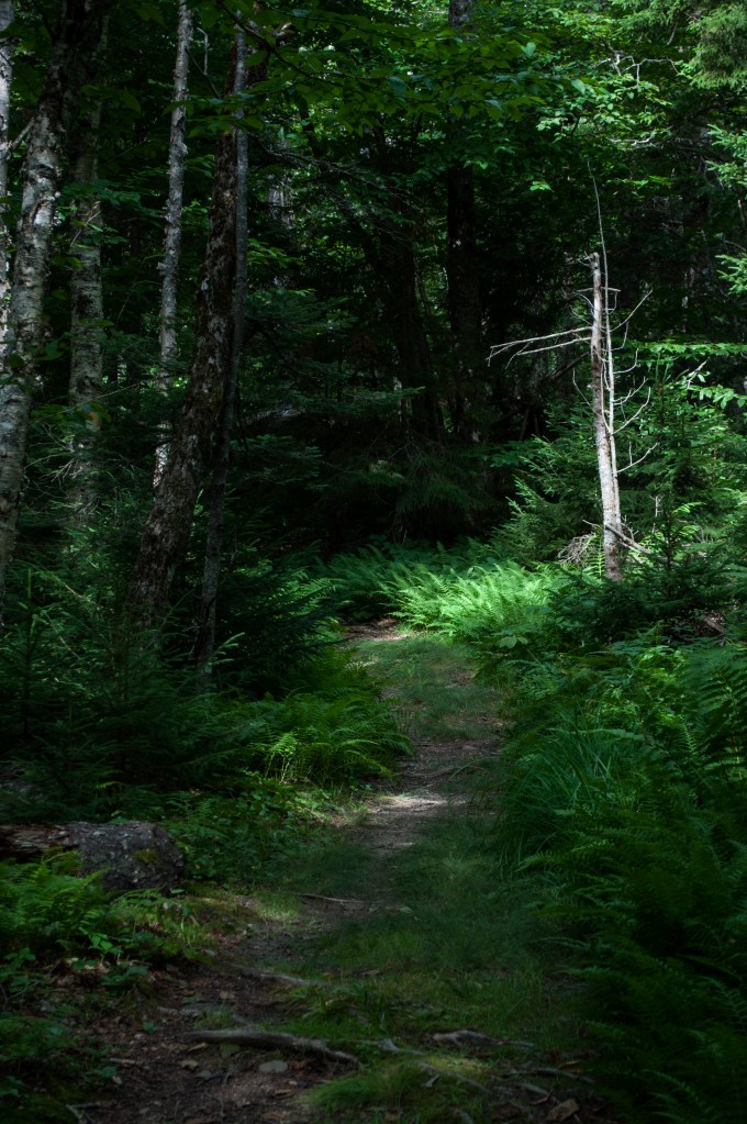 Sentier vers Eatonville