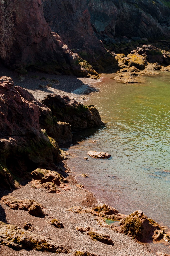 Sentier vers Seal Cove 4