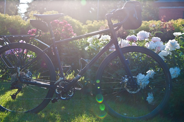 napoleon-et-pivoines